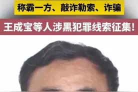 太痛快！警方征集黑社会头目王成宝犯罪线索，横山大刀队队长落幕图片
