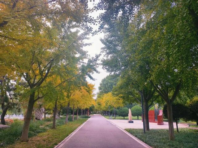 秋韵满园！石家庄市植物园赏秋攻略，请查收→