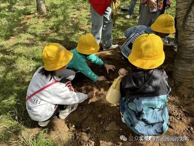 西海岸新乐园+1！就在杨家山里！