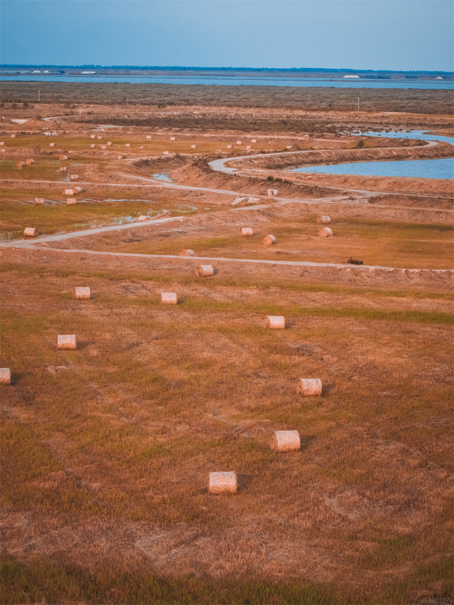 为了这些照片，我专门来了一趟东营！