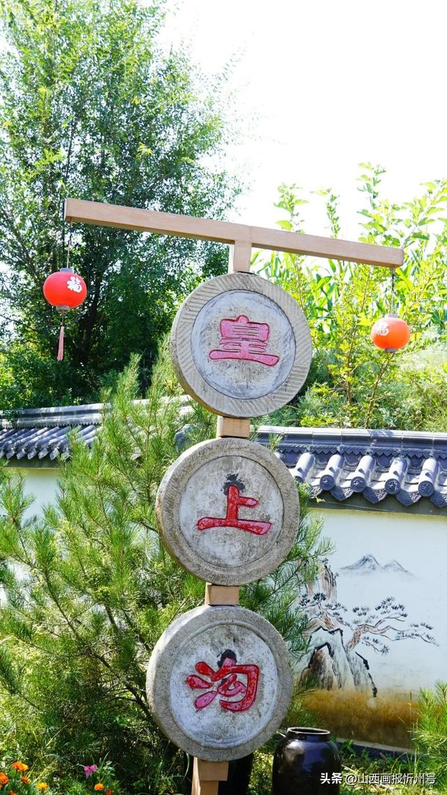 又见奇村 | 你知道吗？南高藏着一个“窑洞秘境”！