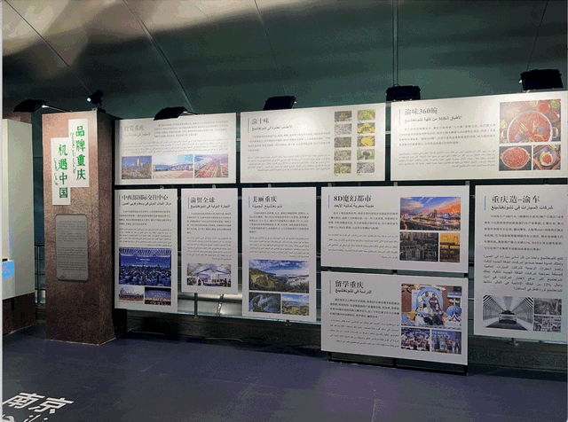 “长江遇见尼罗河”文化展惊艳亮相埃及文明博物馆