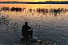 夏天，有三个小时鱼口最好，上鱼最多，千万别放过这个时间段图片