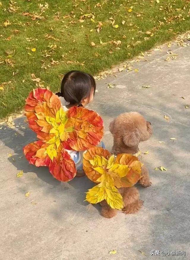 金色的苏州，开始了！