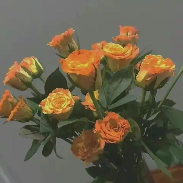 今日文案｜突然被这些话点醒了，绝了！