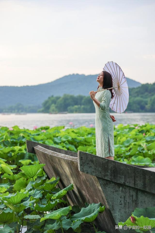 西湖寻趣：一场与荷花的“捉迷藏”之旅