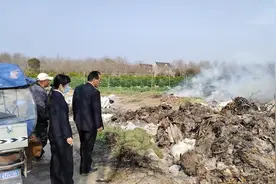 为了保护湿地与白鹭，崇明检察院打造特种车辆非法倾倒固废大数据监督模型图片