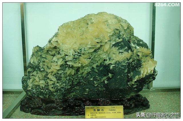 山东行游影记（31）—平邑天宇自然博物馆（六）