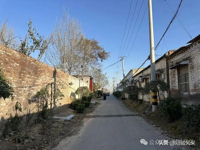 冠县乡韵·贾镇洼里村