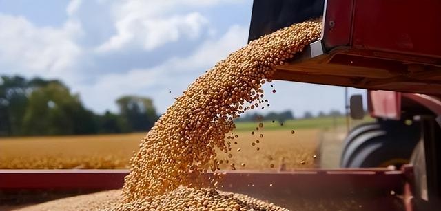 特朗普惊奇发现一个世纪漏洞，只要不招惹中国，就没一个能打的！