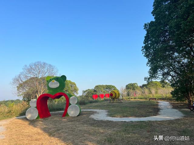 吴城狮子山观鸟