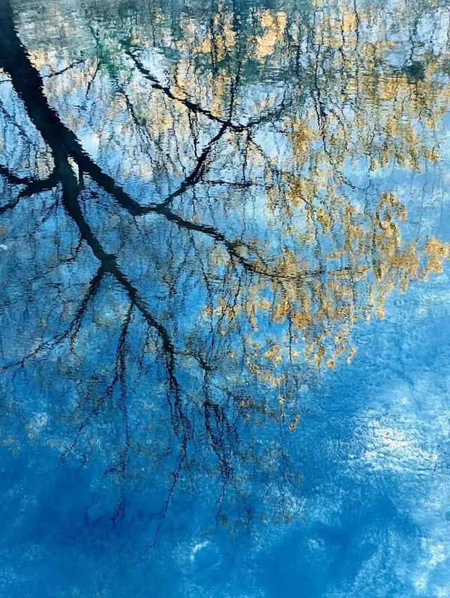 八月蓝海