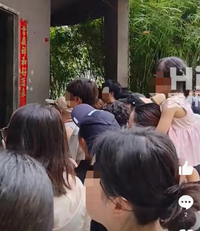 公园太火爆不知是人看猴还是猴看人