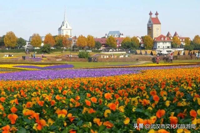 速看！蔡甸元旦跨年活动来了，迎接2026！