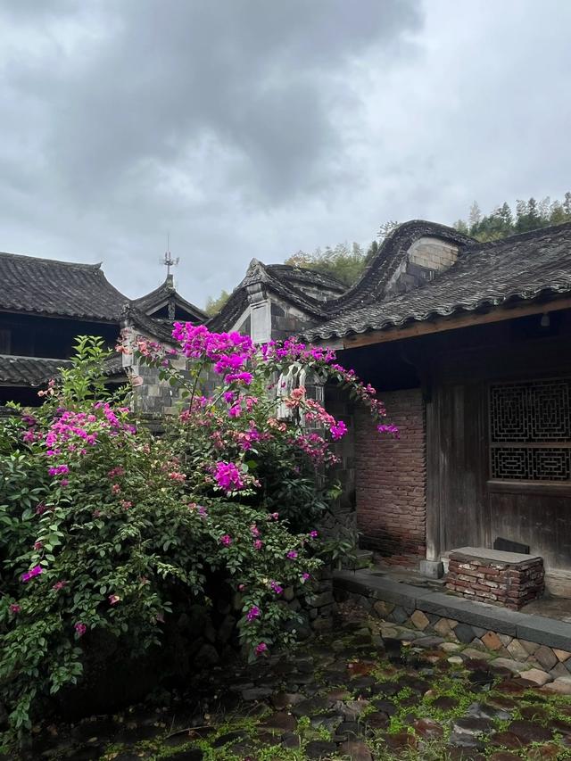 退休夫妻自驾温州泰顺之仕水古镇、胡氏大院、廊桥文化园