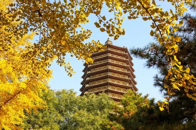 速来！海淀这份含“金”量超高的攻略请收好→