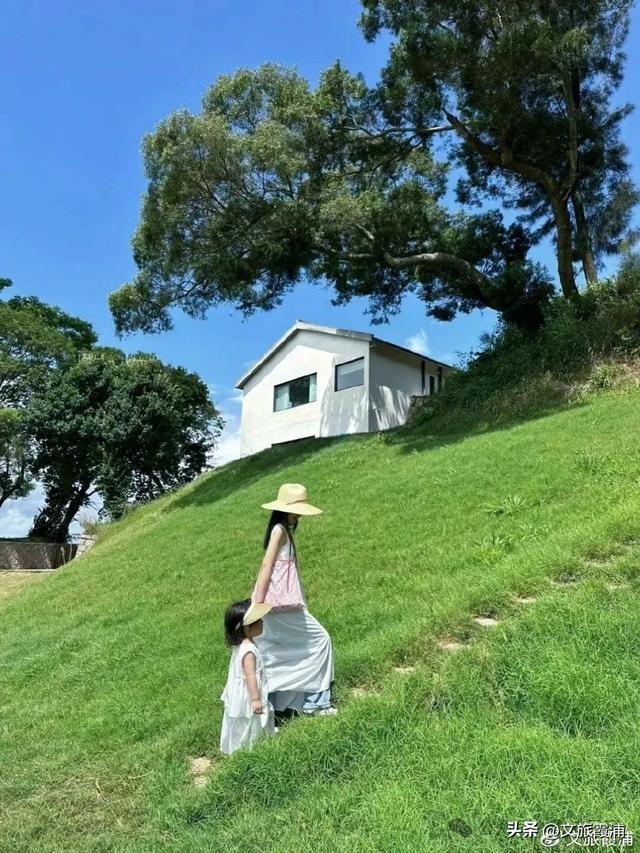 想把时钟调慢三倍的人，别错过霞浦这片山海秘境