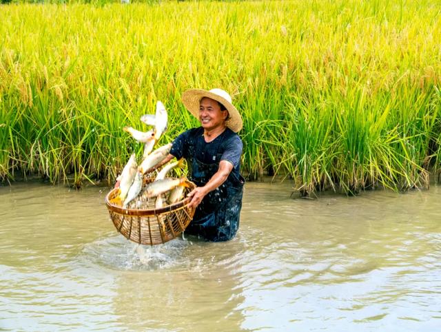 儋眉城市联动宣传特别报道丨东坡文化泽后世 “CP”双城谱新韵