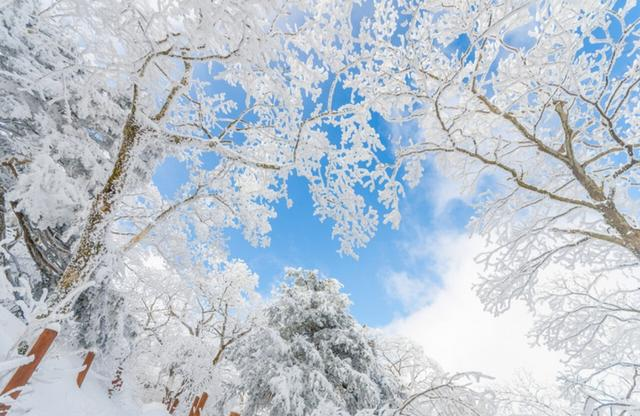 立冬将至，“白天立冬冻死牛，晚上立冬暖烘烘”，今年立冬在哪？