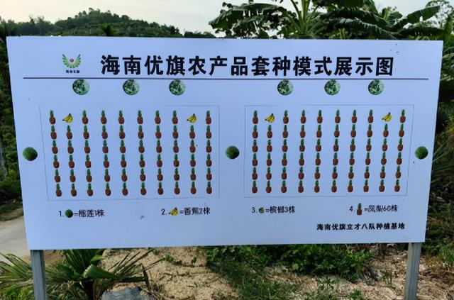 失去中国市场后，大量水果烂地里卖不出去，现在开始后悔得罪中国