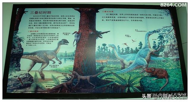 山东行游影记（26）—平邑天宇自然博物馆（一）