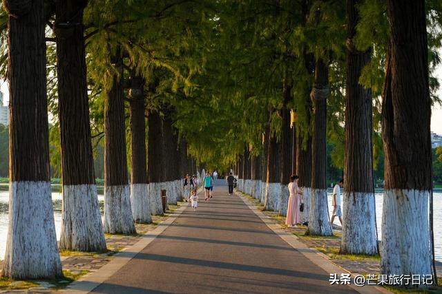 湖北省会武汉，不愧为中部最大的城市，魅力直追重庆