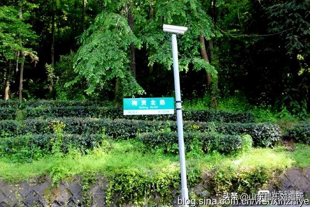 杭州324路公交车沿途风光（皖浙沪旅游122）