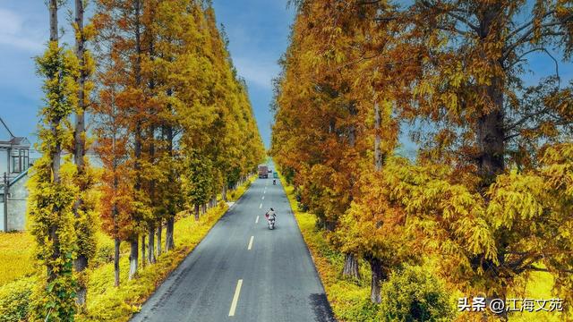 故乡美艳令人醉