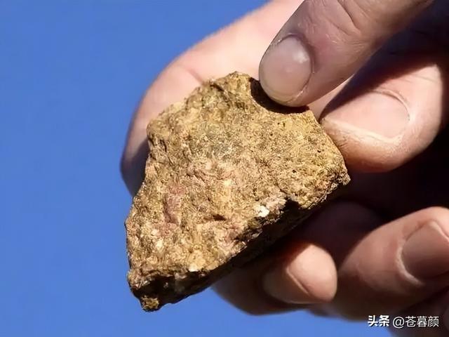 高市早苗对华正式“宣战”！马克龙转头背叛日本，特朗普告示全球