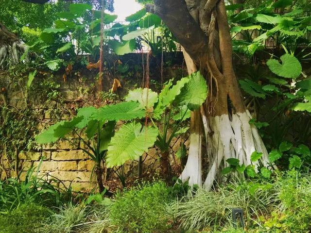 “若得一日闲 山中品千年” 游泉州清源山