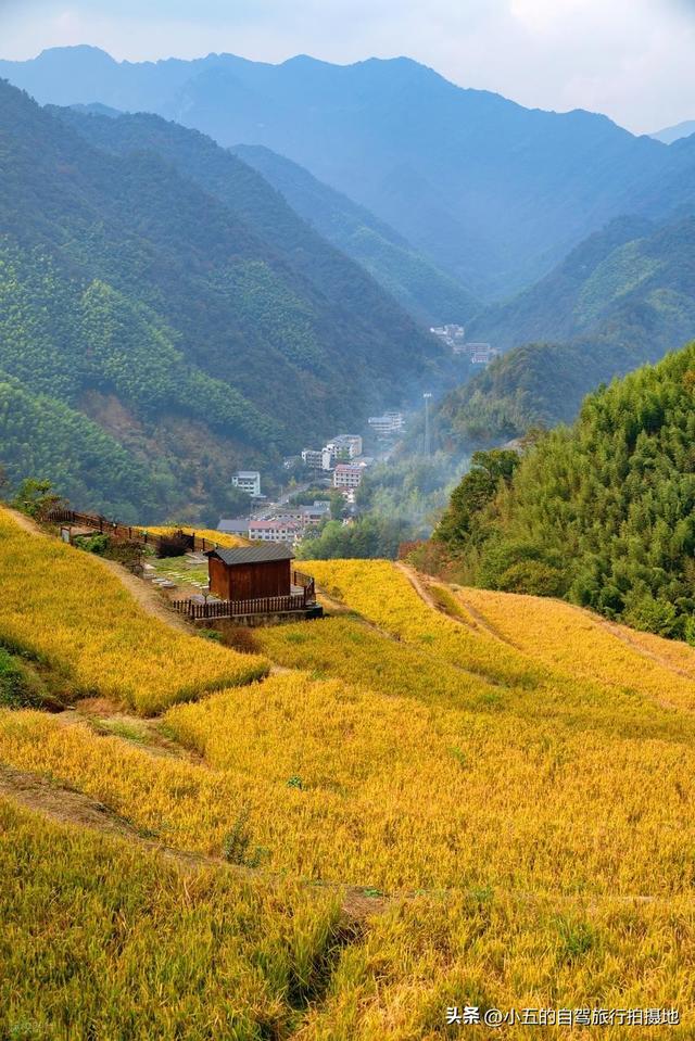 指南村秋季赏秋实测攻略！临川古道 + 梯田 + 三色秋景，不跑空指南