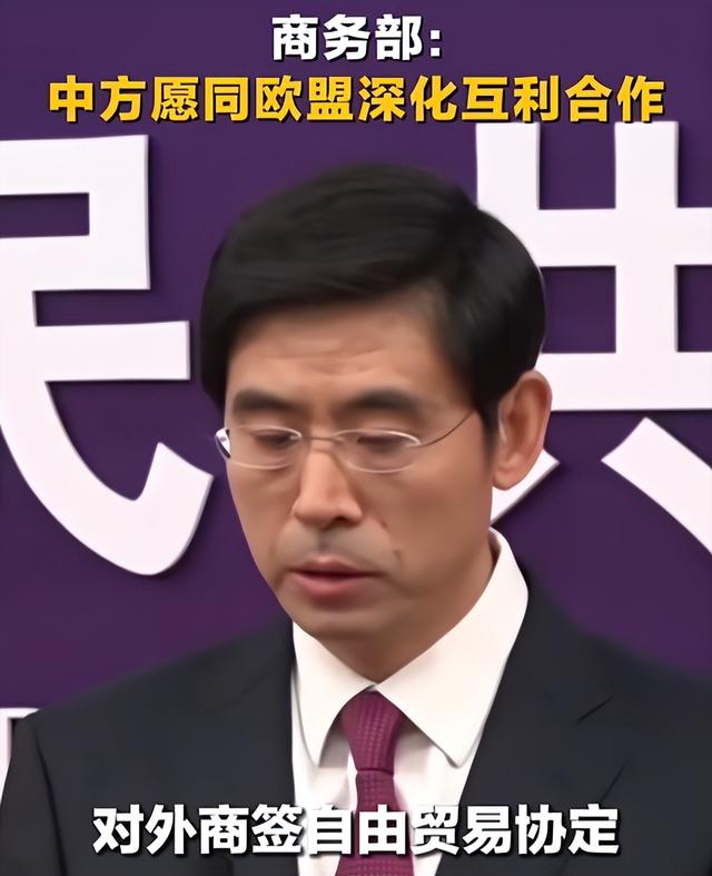 稀土半导体博弈反转！欧盟向中方递交申请，压力之下荷兰认怂了？