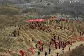 卧龙区：全民植树共建绿色家园图片