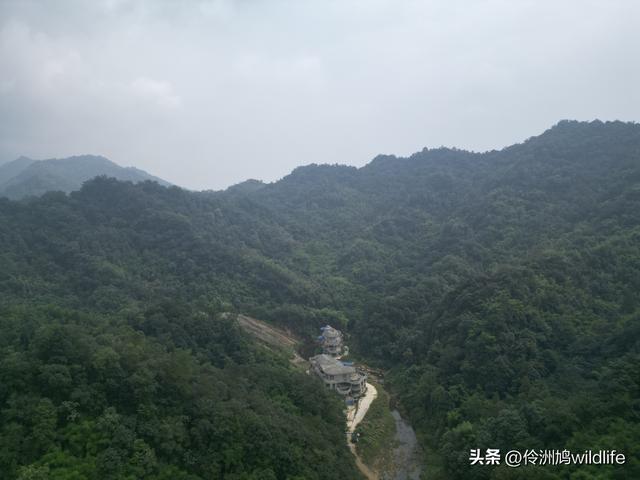 成都徒步（69）·彭州篇⑯法藏寺环线（桥断未走通）