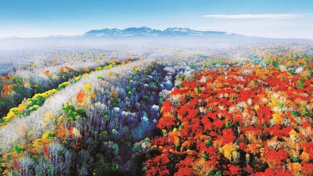 沈白高铁开通 这“泼天流量”长白山接住了