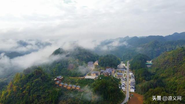 悦·遵义丨来凤冈，体验一次暑期沉浸式避暑之旅！