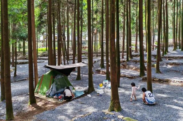 “趣”南川，野一“夏”！南川露营地全攻略，藏着夏日清凉答案→