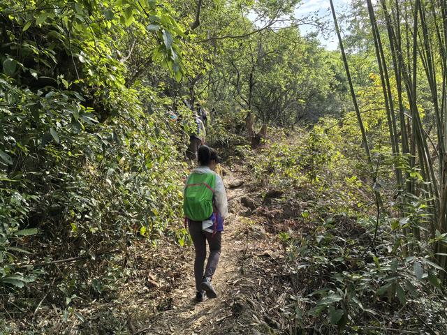 带小朋友去贵州茂兰，连环探洞加漏斗原始森林徒步二日游全攻略！