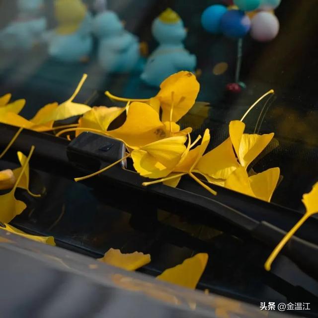 在“杏”福满满的大南街！这样拍超出片