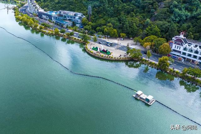 洱海边有个半圆形广场,不仅立着渔家女雕像,还是海鸥争宠的地方