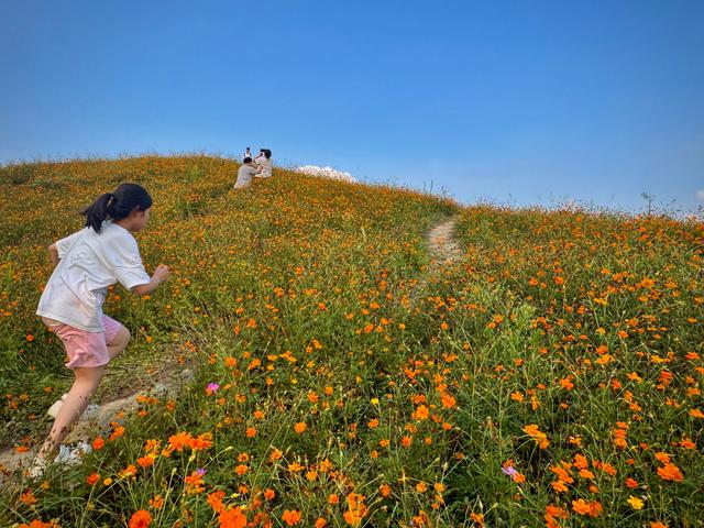 碧云花园，藏着江南阿勒泰！
