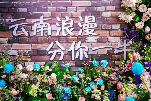 活动｜大理风情闪耀首都
