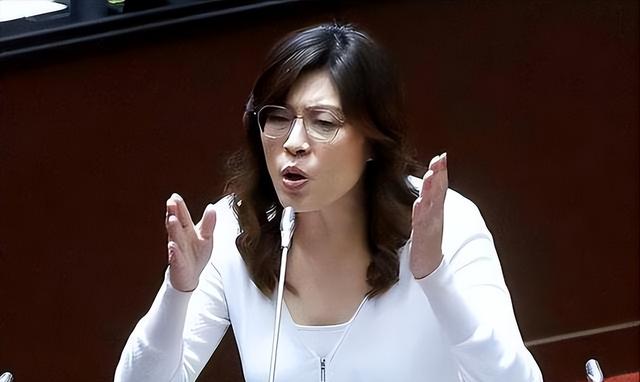 局势逆转：国民党主席改选爆出“重磅炸弹”，郑丽文或将白忙活，