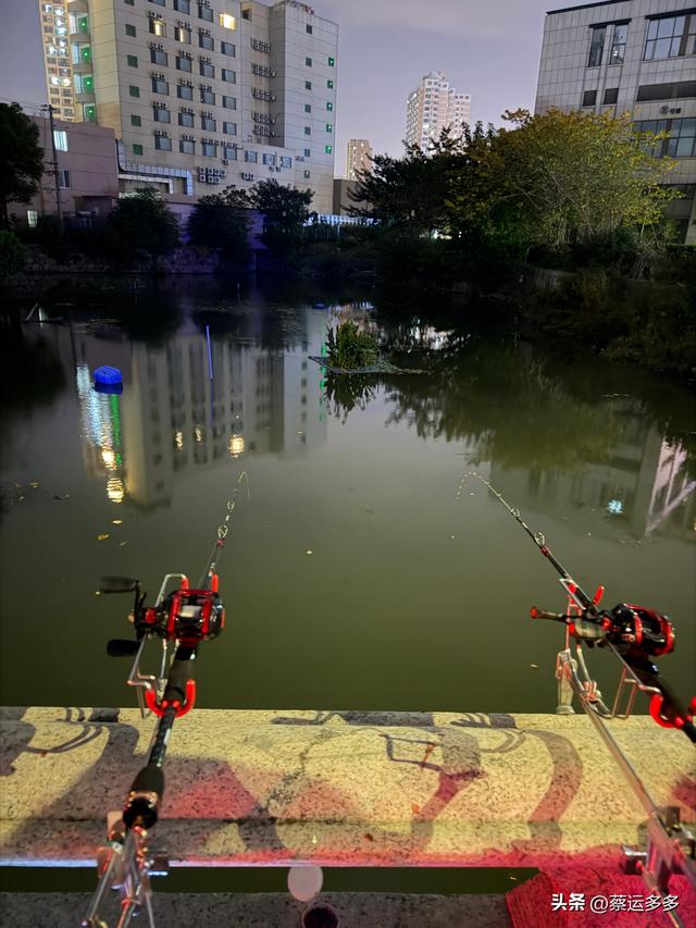 上海的乡村美得我头晕目眩
