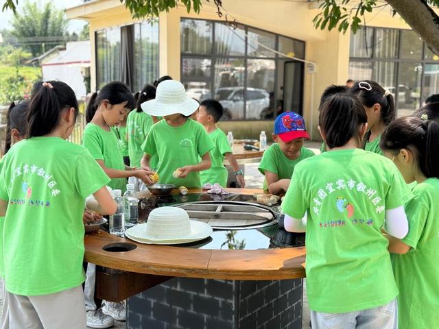 叙州区：两百名青少年田间研学 共享农耕文化盛宴