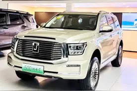 年收入多少可以购买坦克500？图片