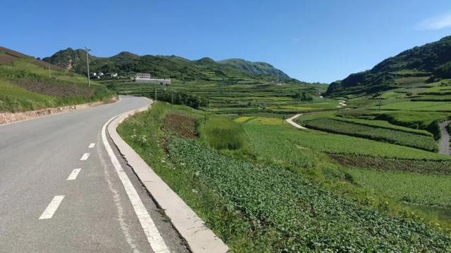 武都秋韵：马营山乡的诗意时光