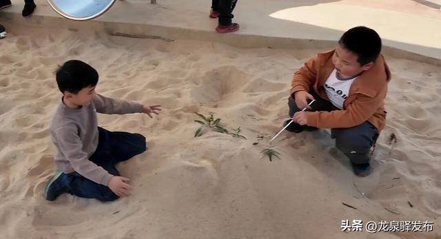 小公园承载大幸福——龙泉驿蚂蚁乐园