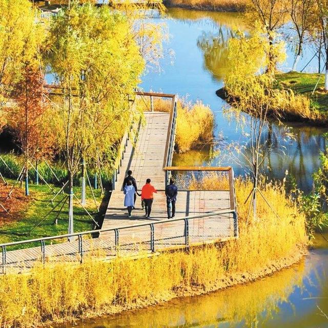 行走在临海公园的秋色里