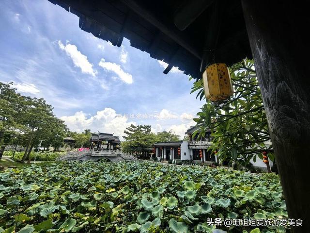 夏末游玩惠州丰渚园：古筑映荷添雅，尾季荷花“私藏”角度显惊艳